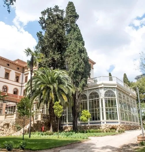The greenery and villas of the Trieste district near Fenix Hotel Roma